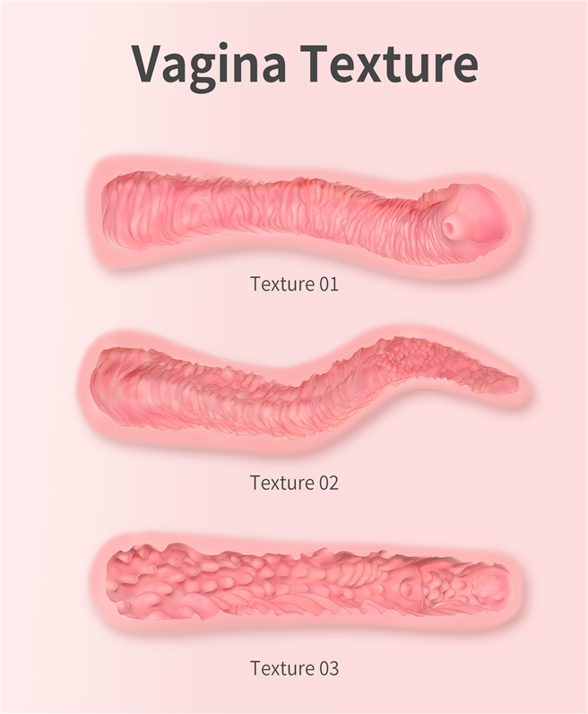 Vagina texture