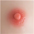 Pink Areola