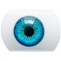 #1 Augen