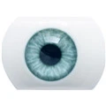 #2 Augen