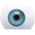 #3 Augen