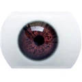 #5 Augen