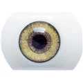#7 Augen