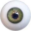 Grüner Augen
