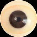 eys10
