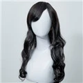 Wig14