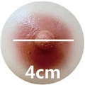 4cm