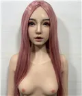 wig-29