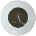 eys1