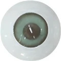 eys11