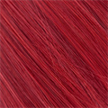 Rot