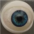 eyes4