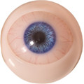 eyes2