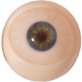 eyes3