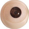 eyes4