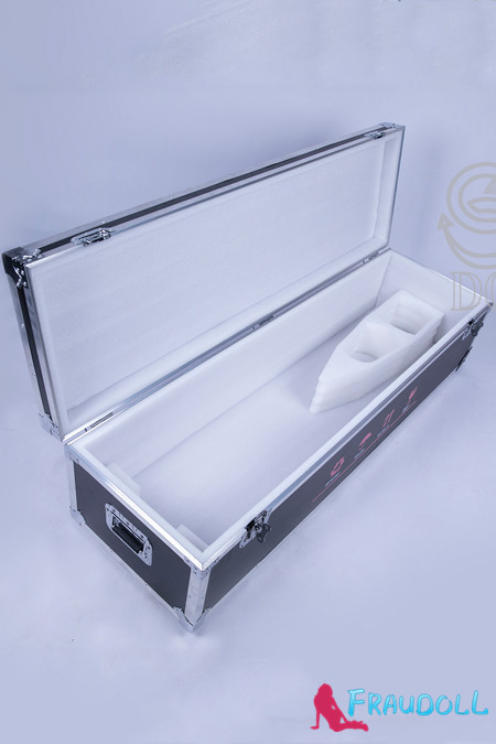 Transportbox