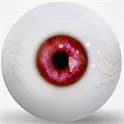 Cerise Augen mit Blutgefäße