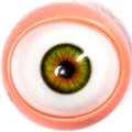 beweglich Grün Auge