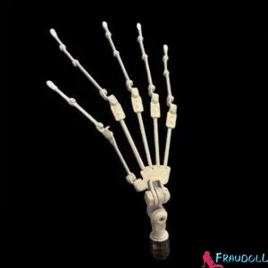 grace joint