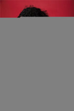 realistisch Sex-Puppen Dolls